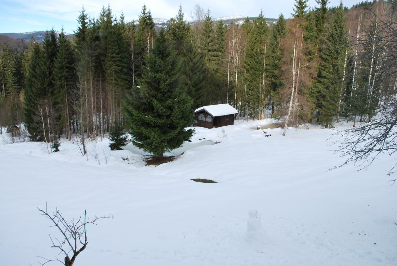 Ferienhaus "Lisa'S Haeusl" Neuschönau Exteriör bild