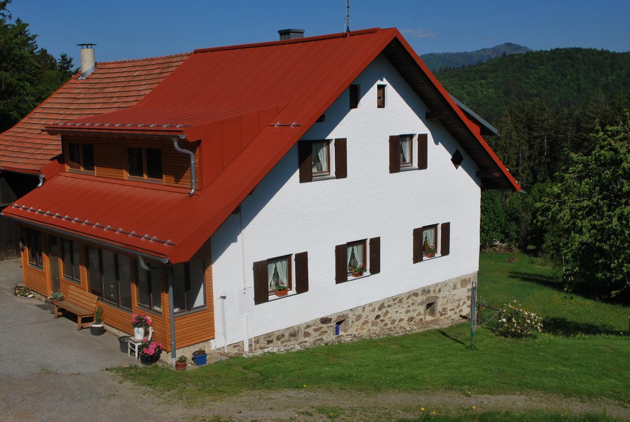 Ferienhaus "Lisa'S Haeusl" Neuschönau Exteriör bild