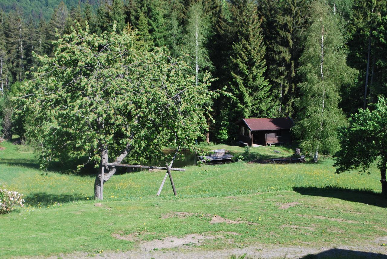 Ferienhaus "Lisa'S Haeusl" Neuschönau Exteriör bild